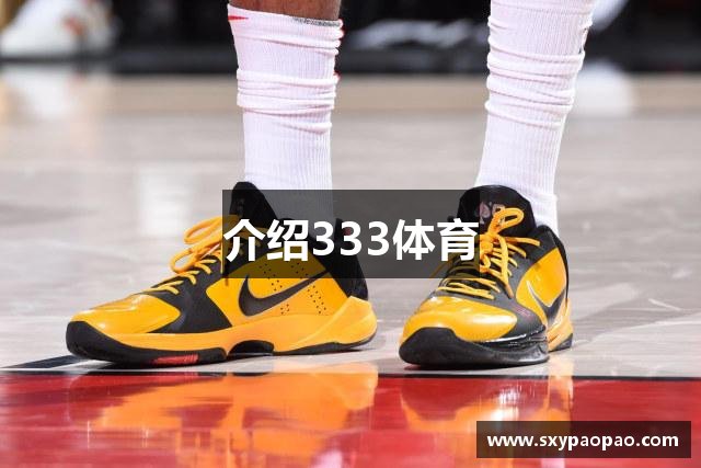 介绍333体育